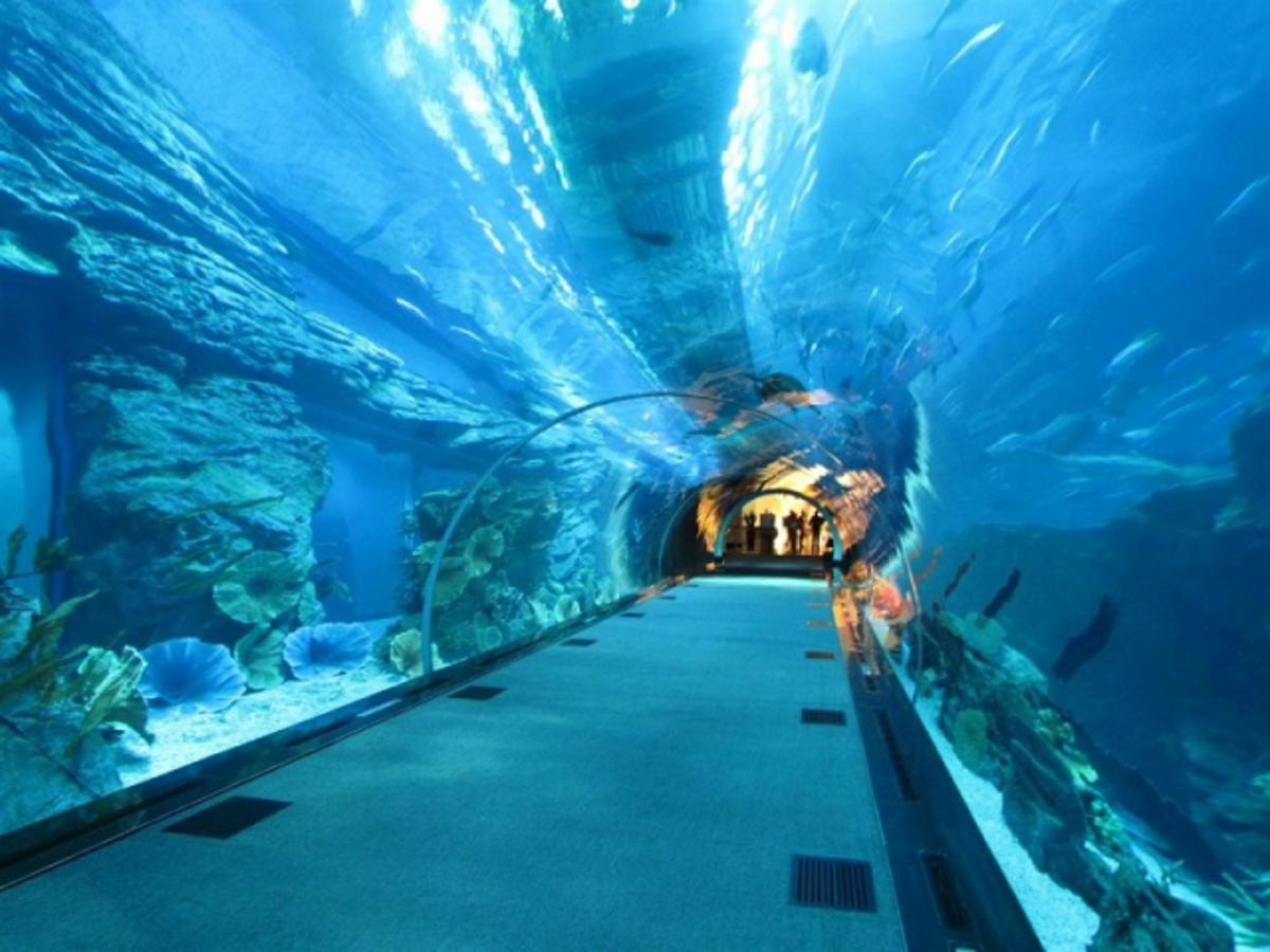 Hotel Bologna Rimini Luaran gambar